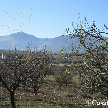 Casa Tuerta * Alcalá de Moncayo