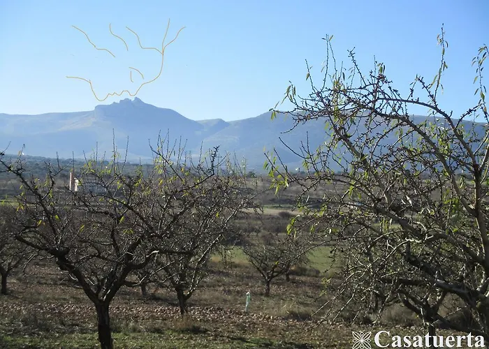 Casa Tuerta * Alcalá de Moncayo